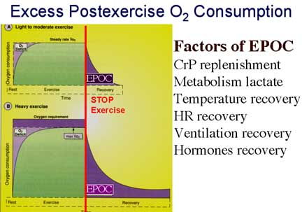Excess Post Oxygen Consumption Explained by Personal Trainer Beaufort