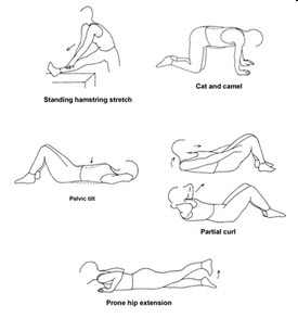 The World's Simplest and Most Effective way to Eliminate  Back Pain... Fast and Naturally