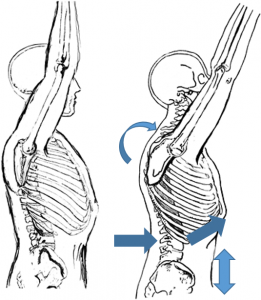 Thoracic Mobility