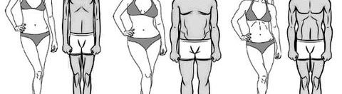 Beaufort Fitness: Body Types and What They Mean