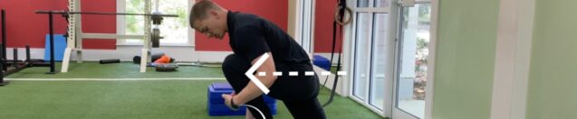 Ankle Mobility #1