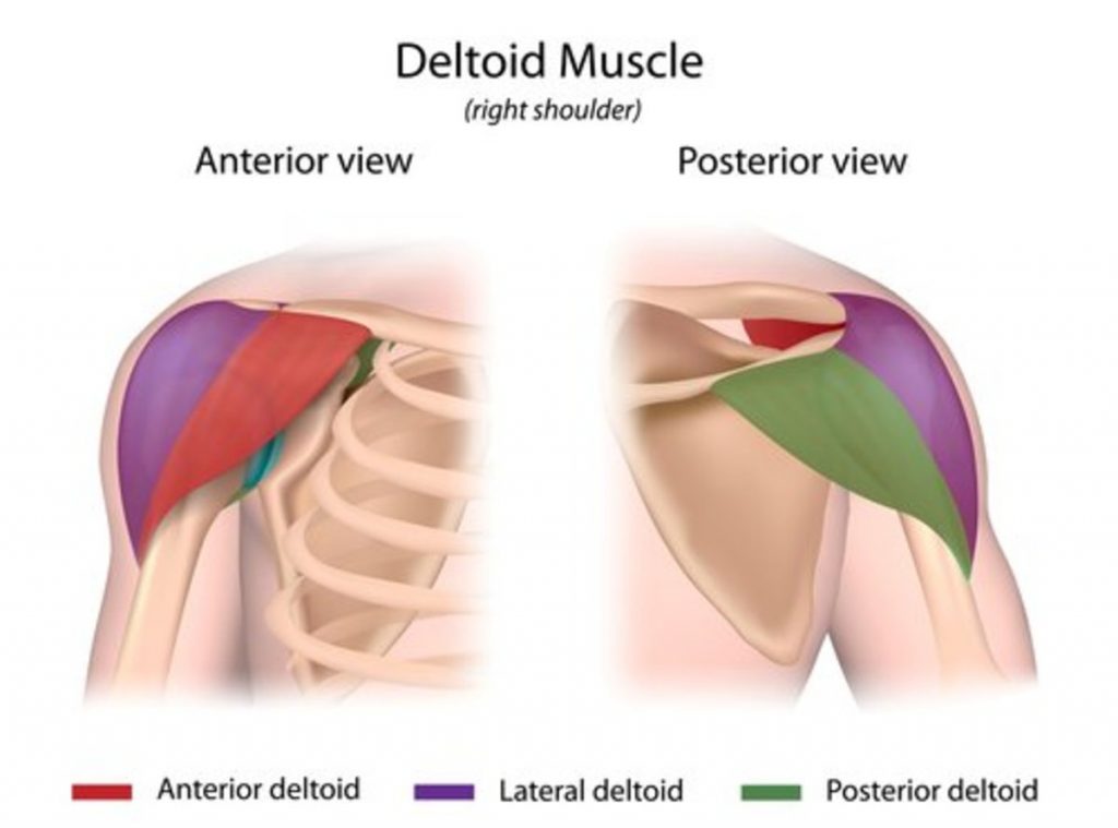 Chest Stretch | At Home Stretching Series