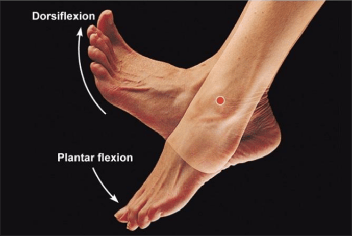 Ankle Warm Up For Plantar Fasciitis | Beaufort Fitness