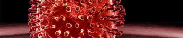 Top 5 Ways To Kill The Coronavirus Naturally